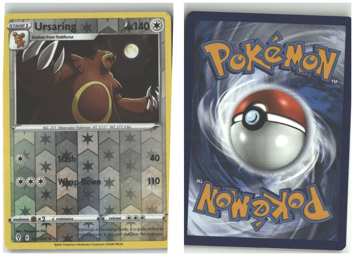 Front + Back scan