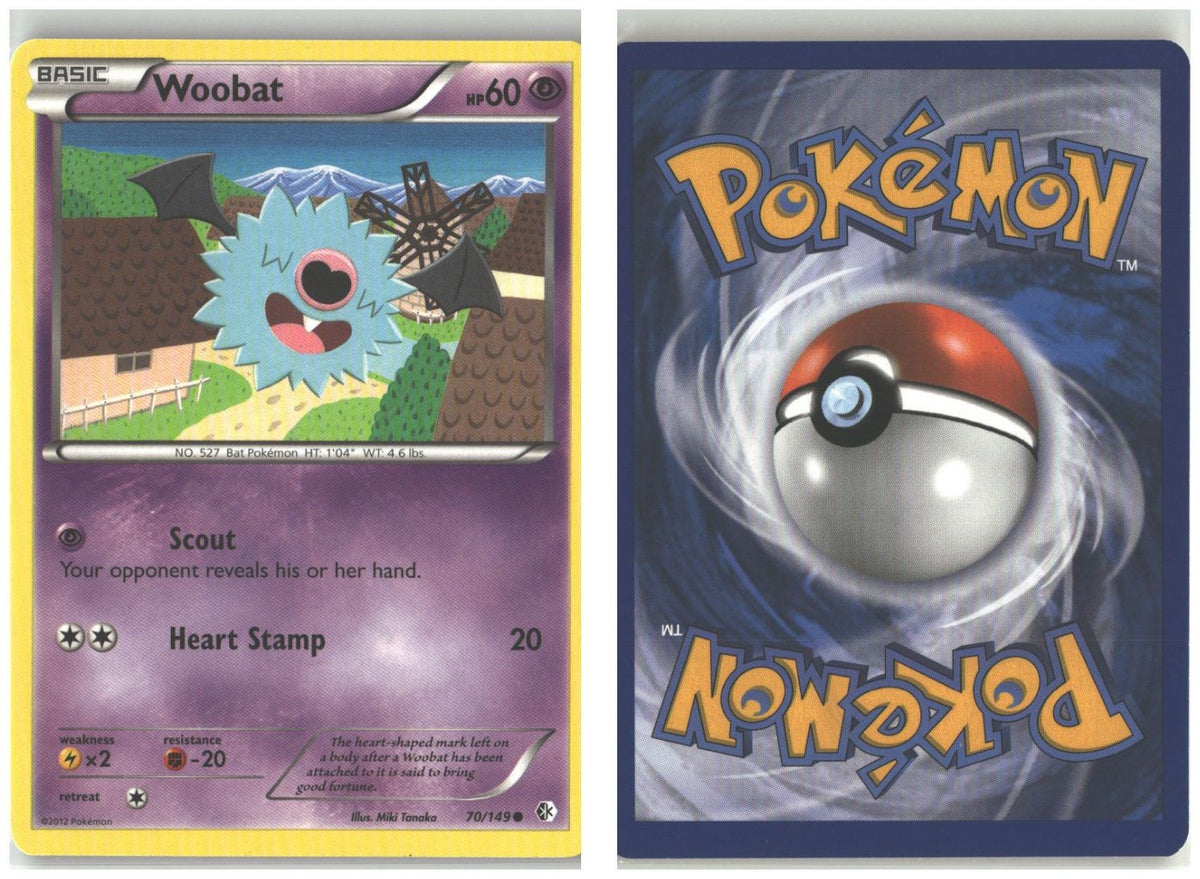 Front + Back scan