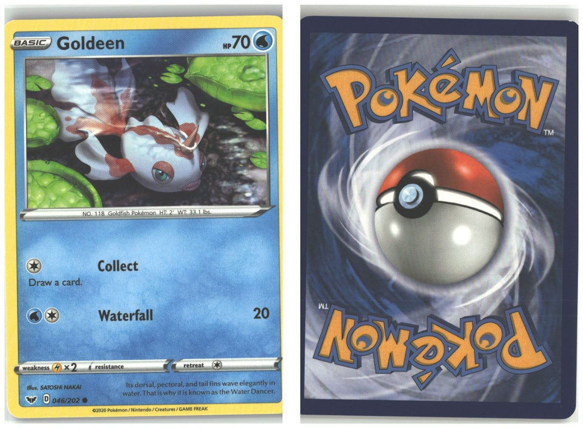 Front + Back scan