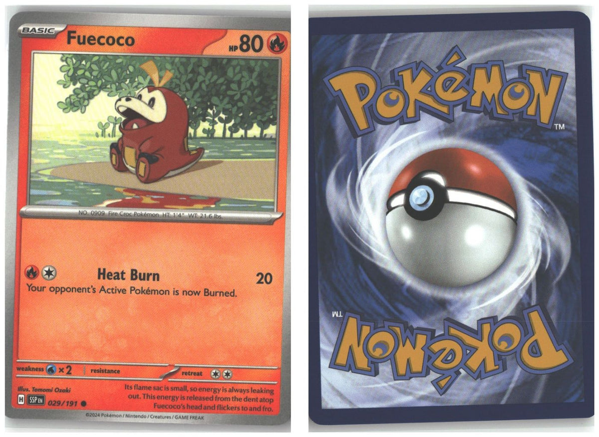 Front + Back scan