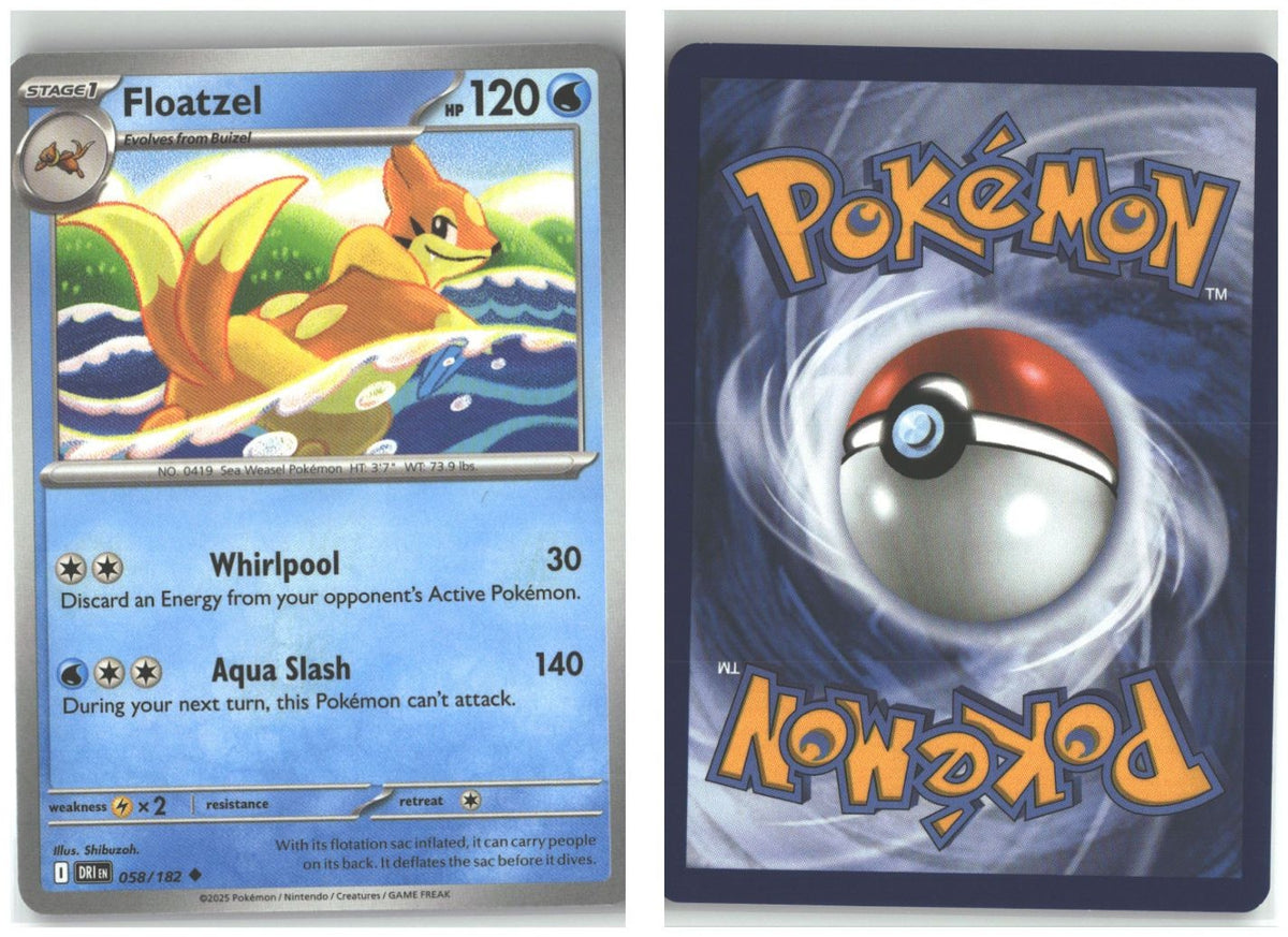 Front + Back scan