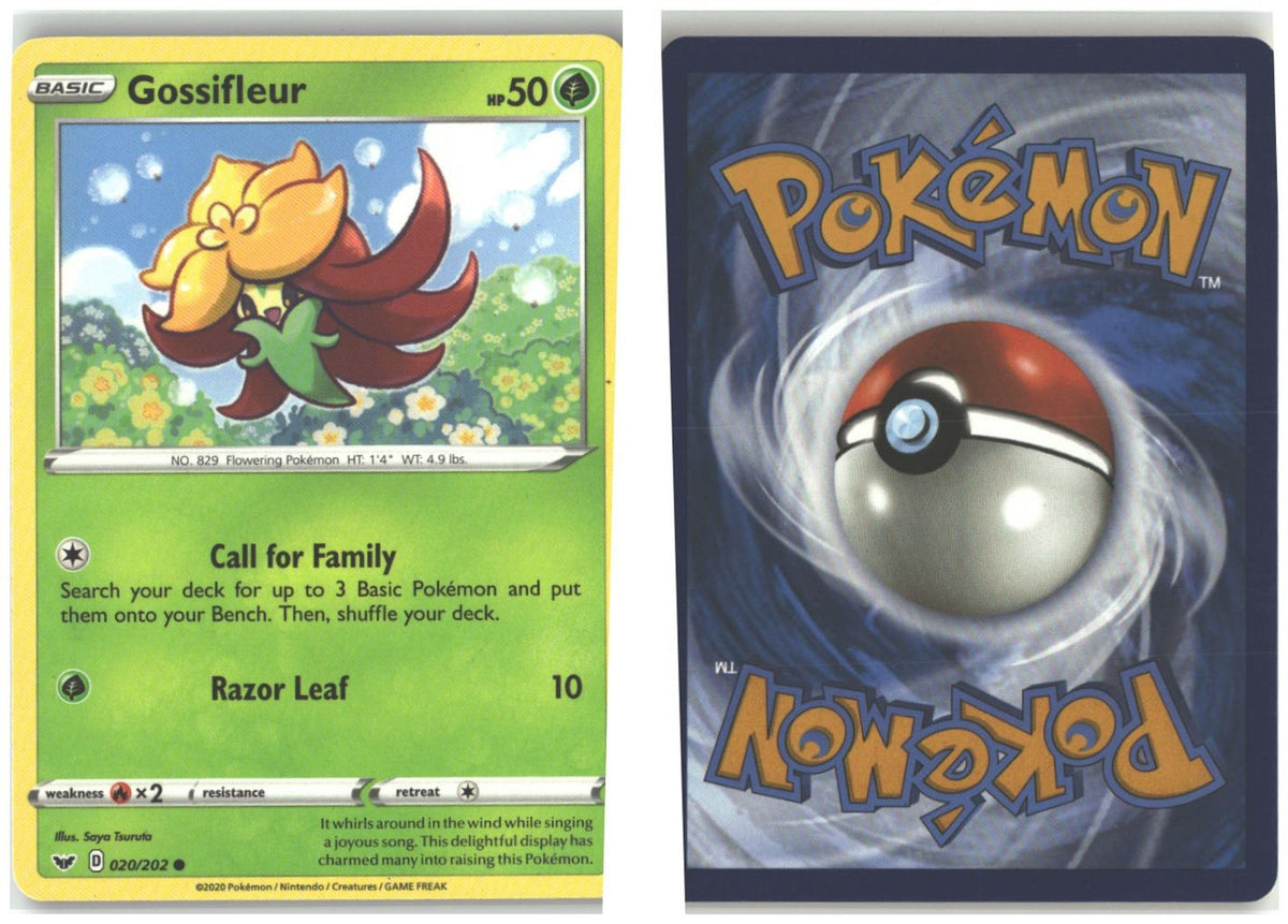 Front + Back scan