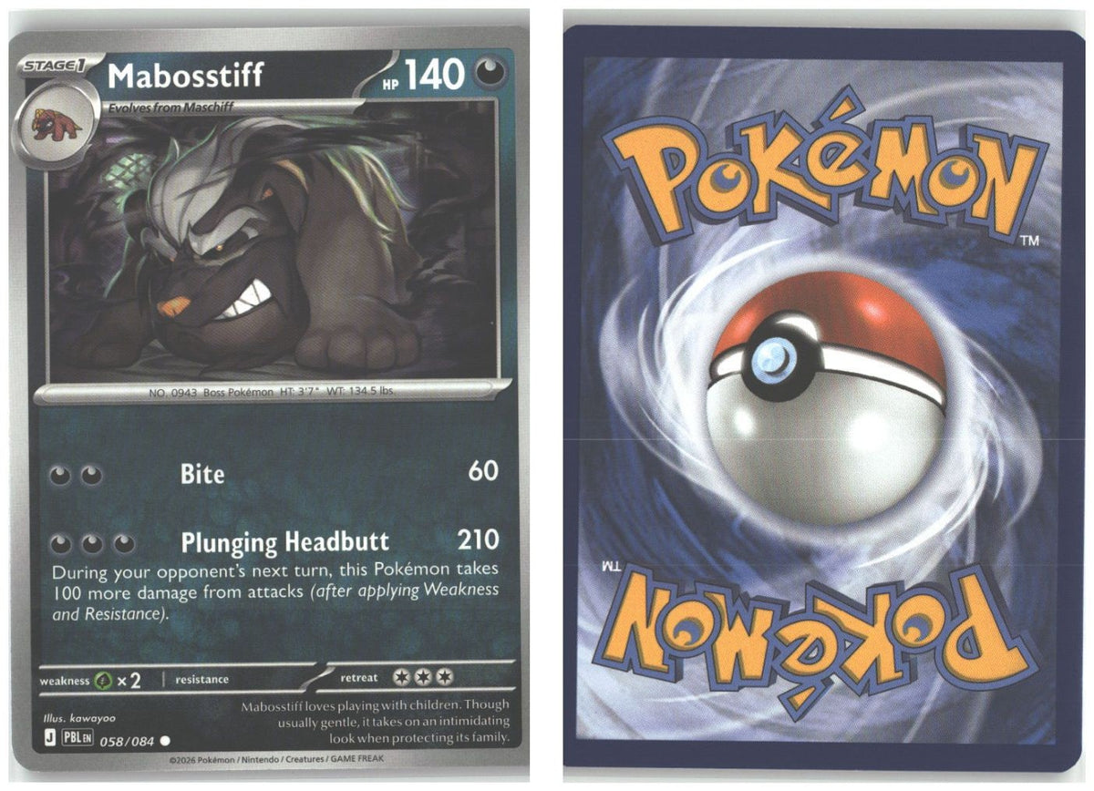 Front + Back scan