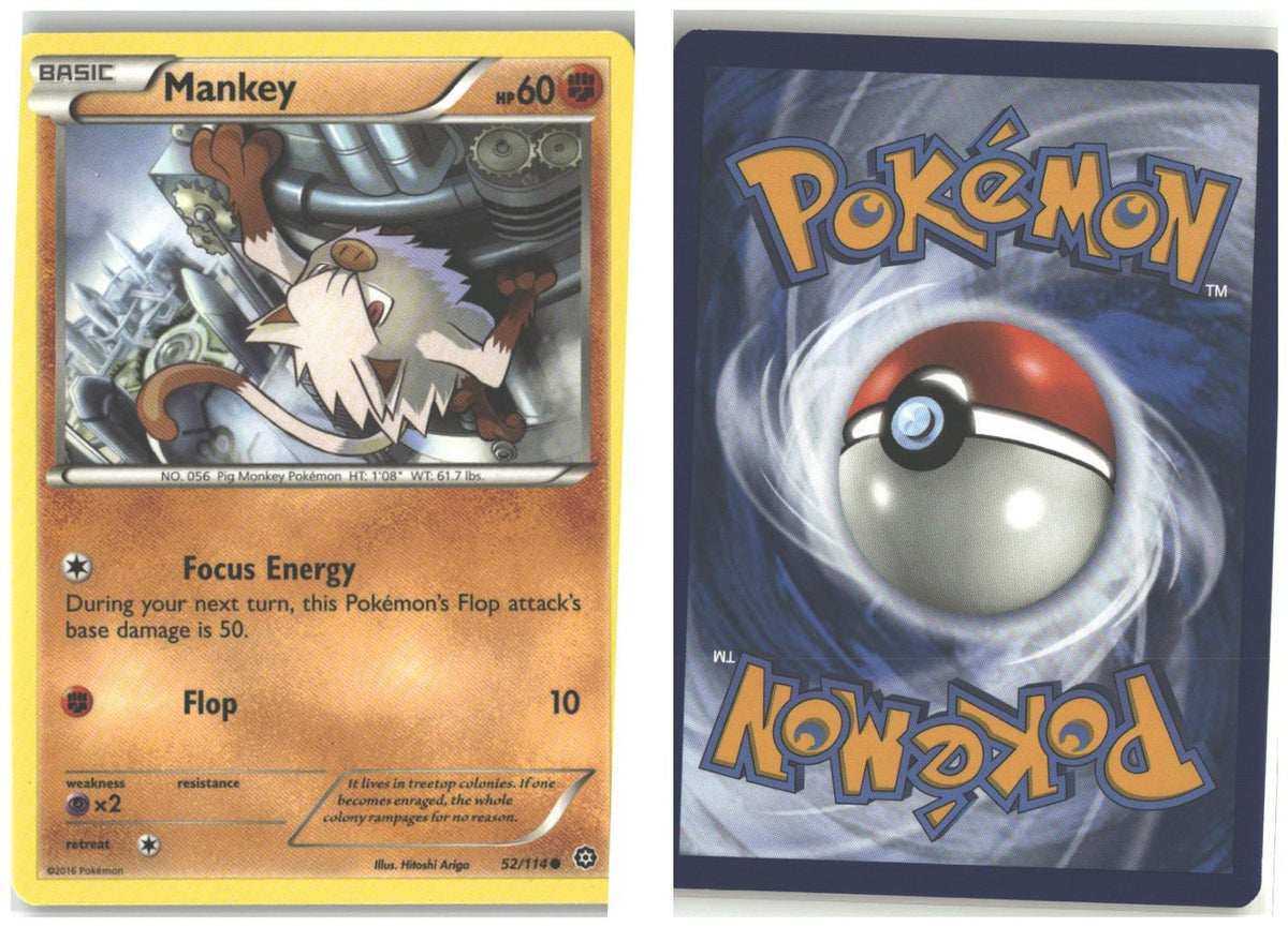 Front + Back scan