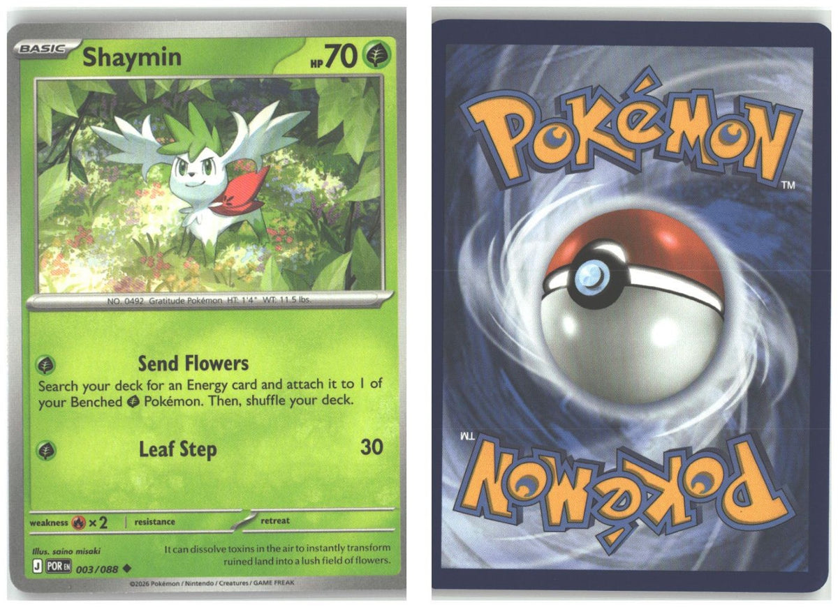 Front + Back scan