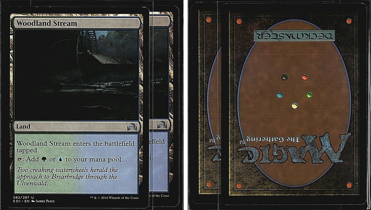 Front + Back scan