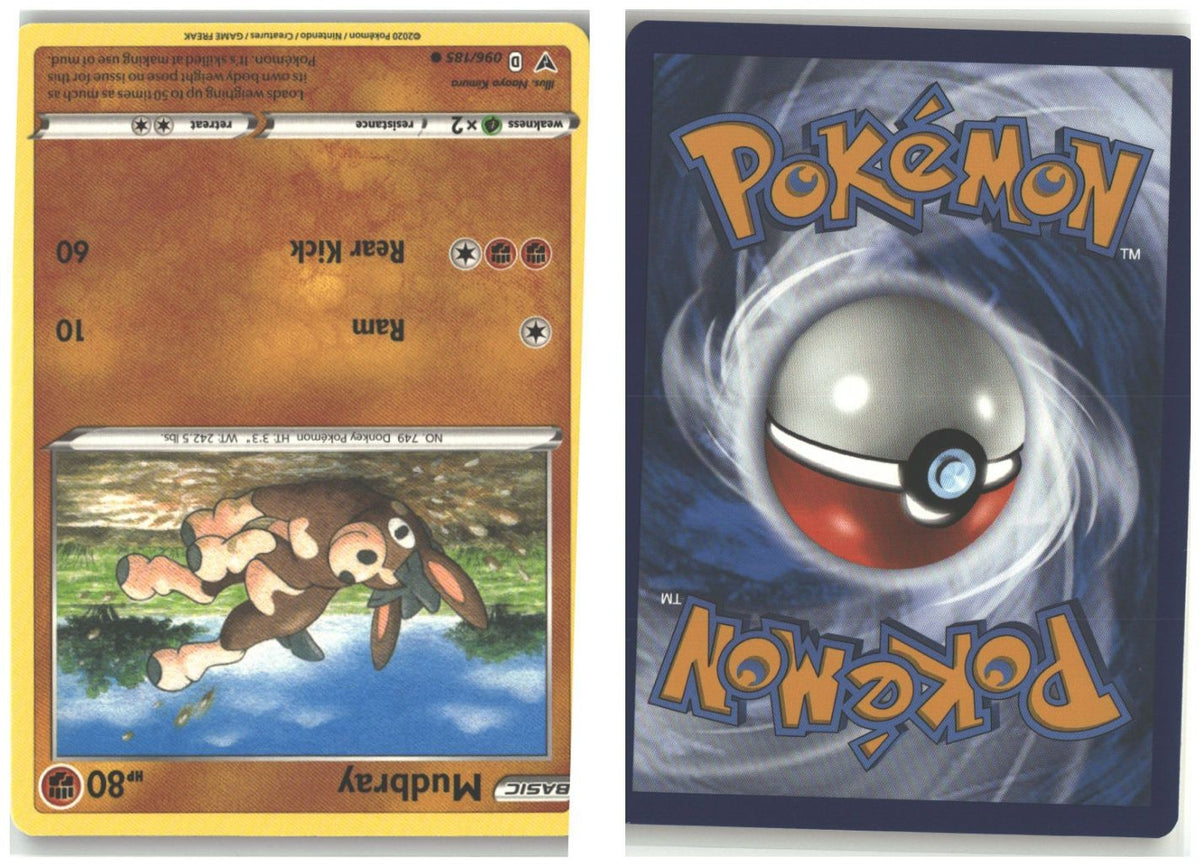 Front + Back scan