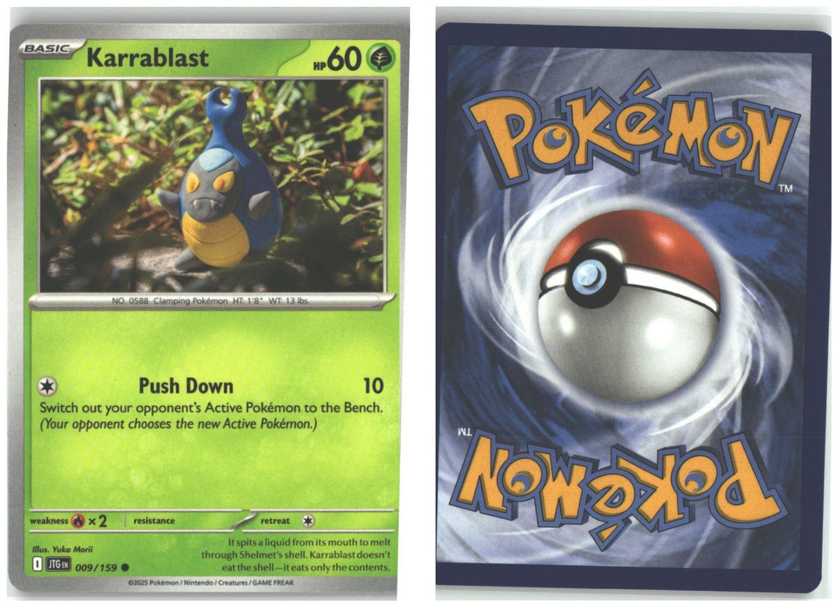 Front + Back scan