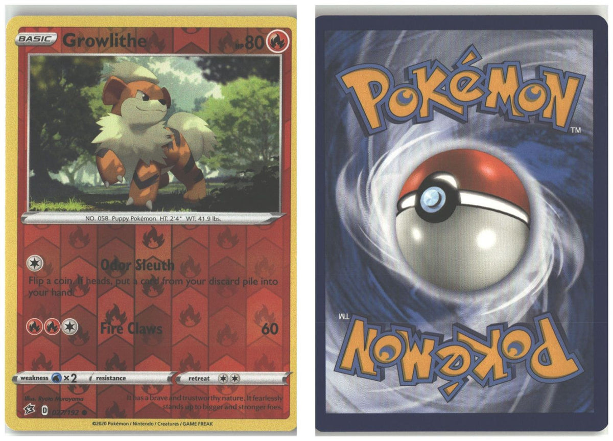 Front + Back scan