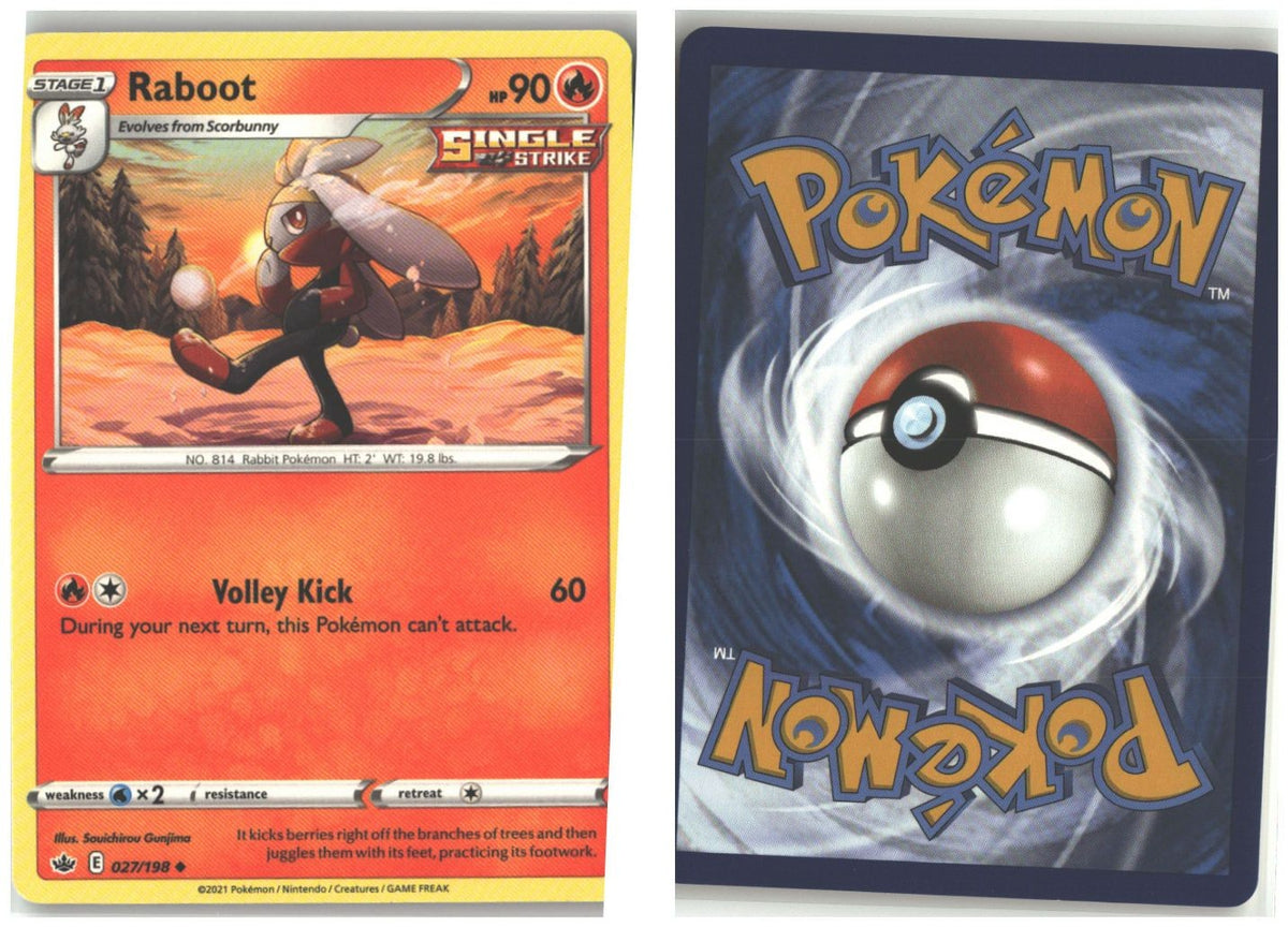 Front + Back scan