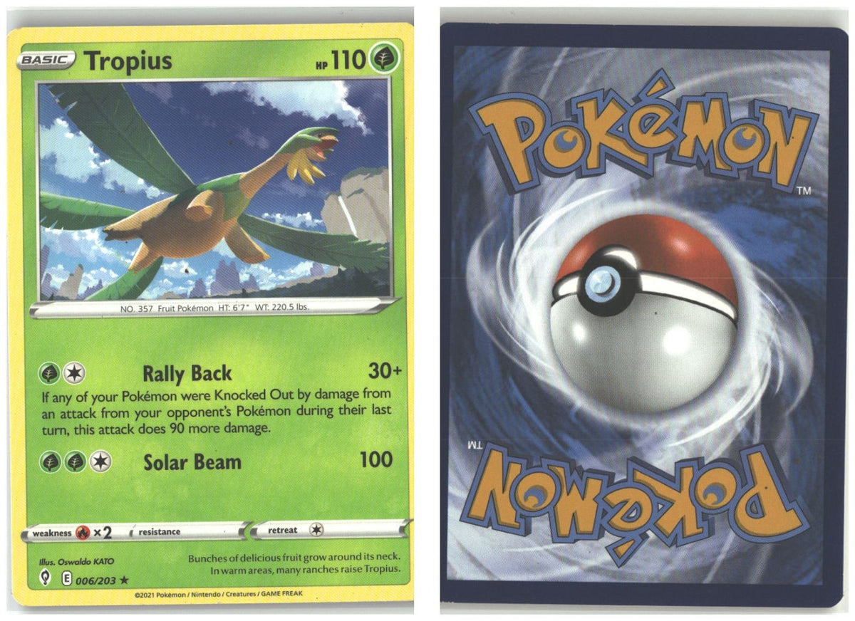 Front + Back scan