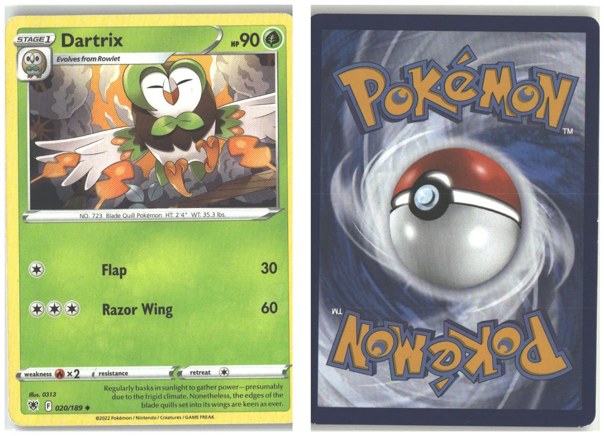 Front + Back scan