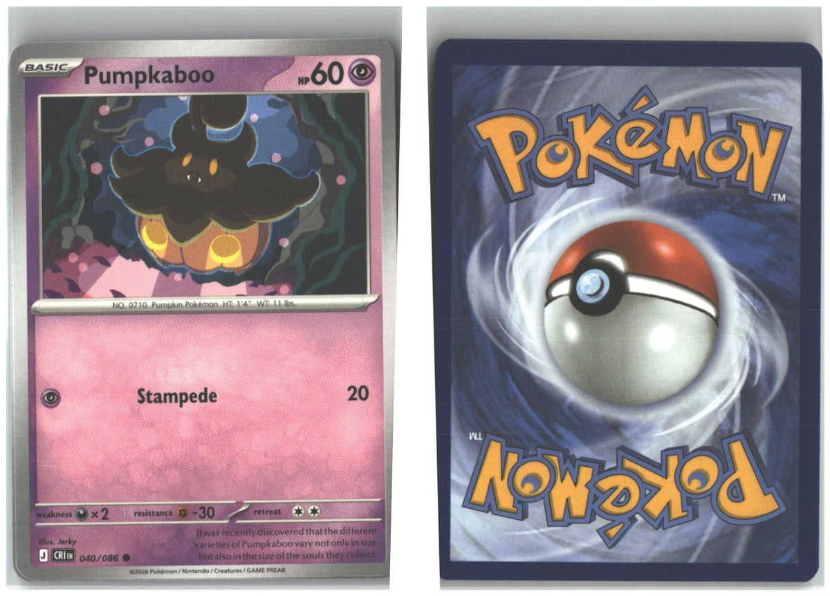 Front + Back scan