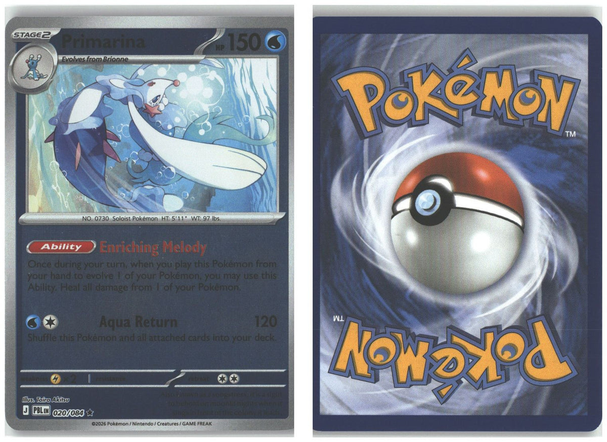 Front + Back scan