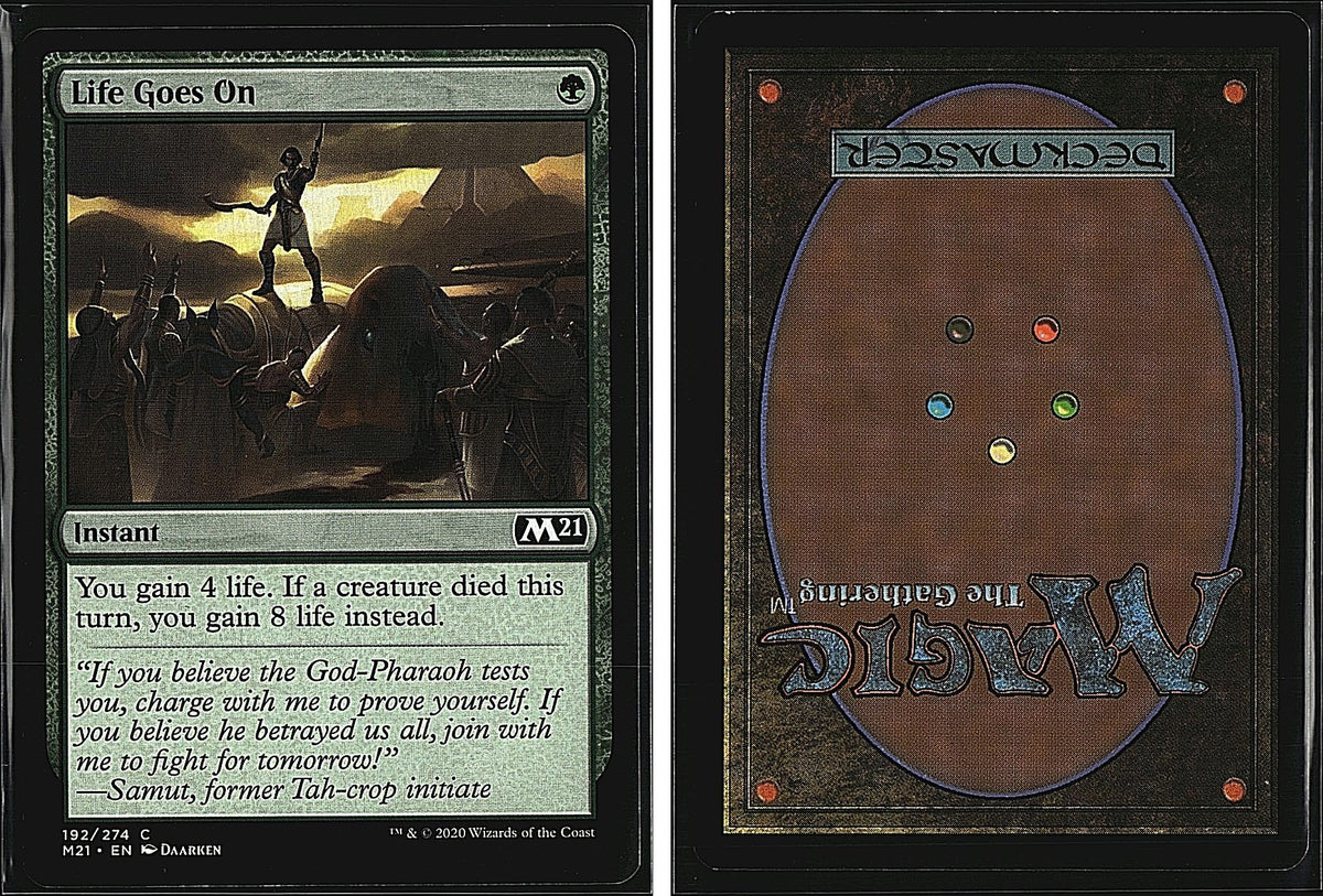 Front + Back scan