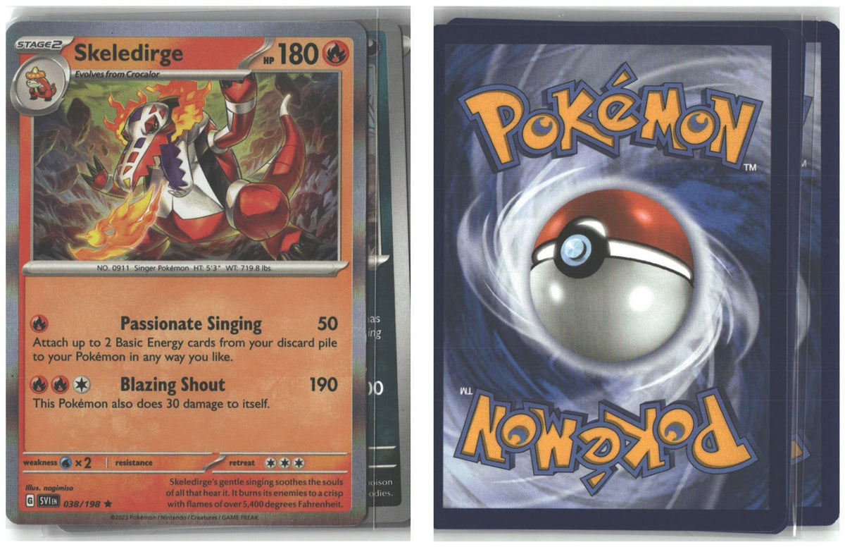 Front + Back scan