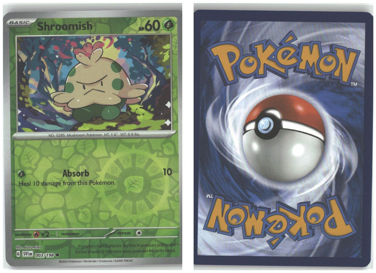 Front + Back scan