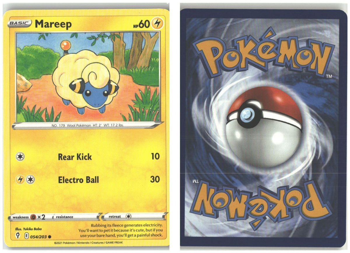 Front + Back scan