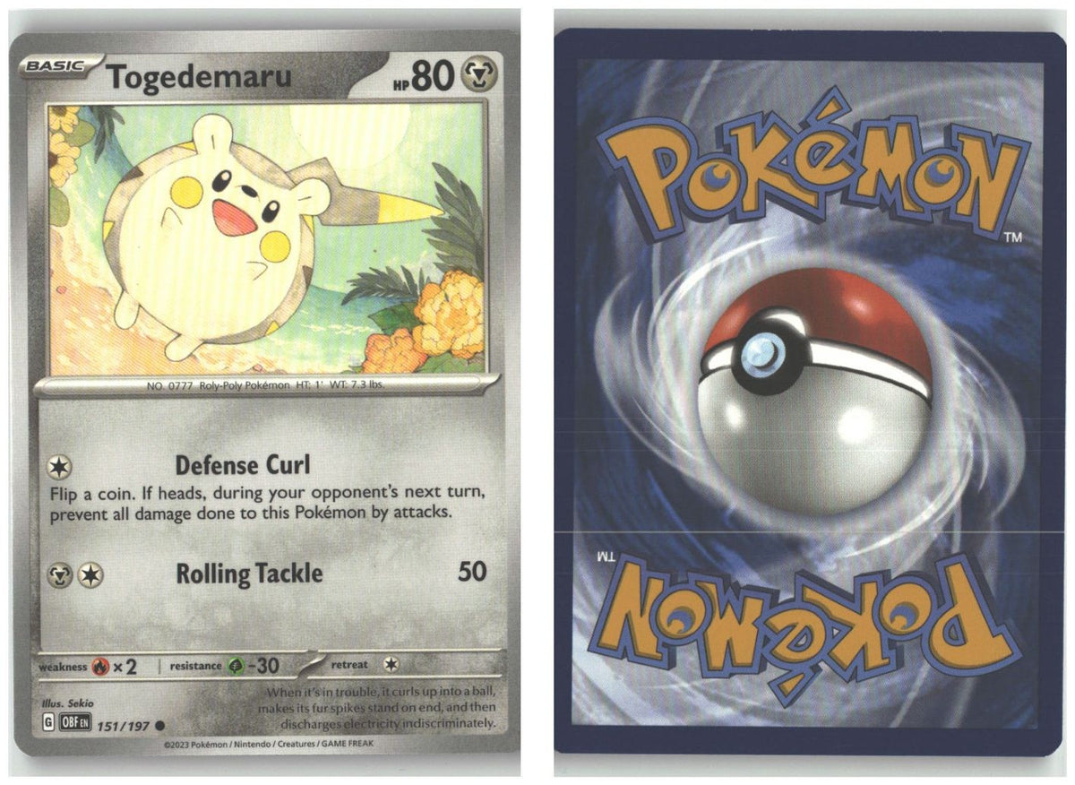 Front + Back scan