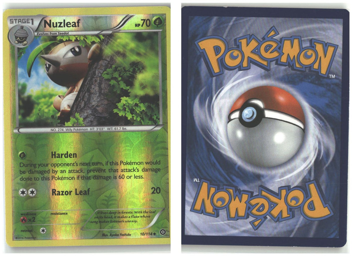 Front + Back scan
