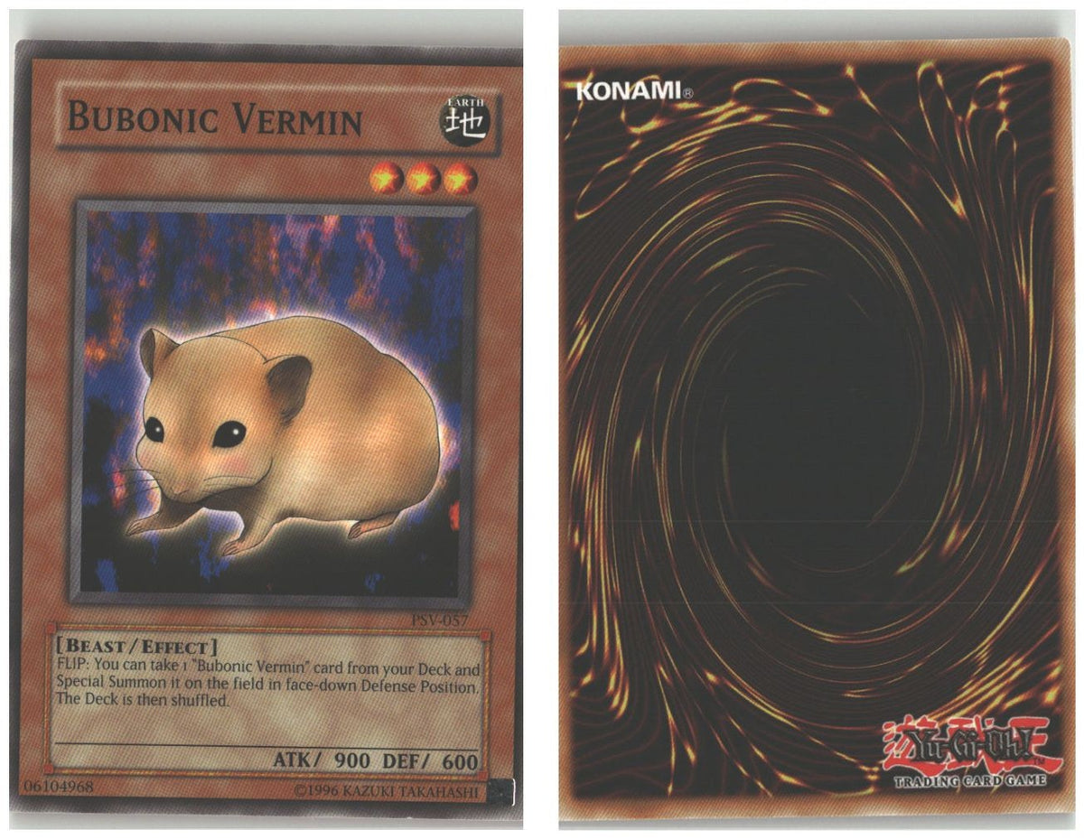 Front + Back scan
