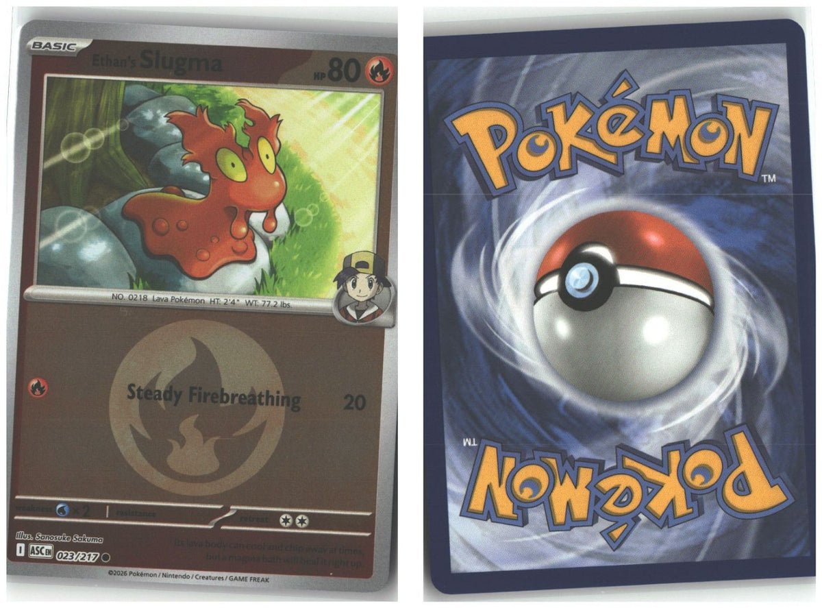 Front + Back scan