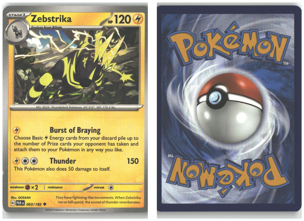 Front + Back scan