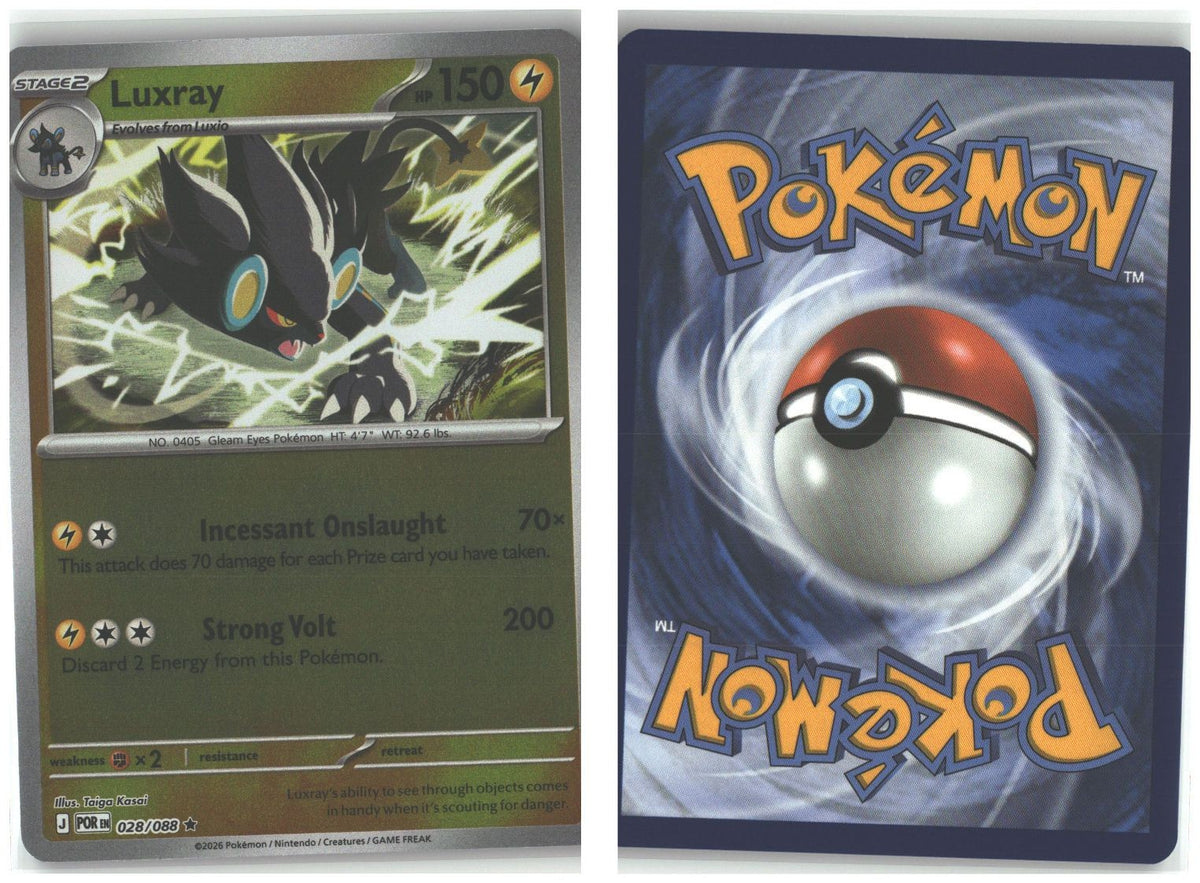 Front + Back scan