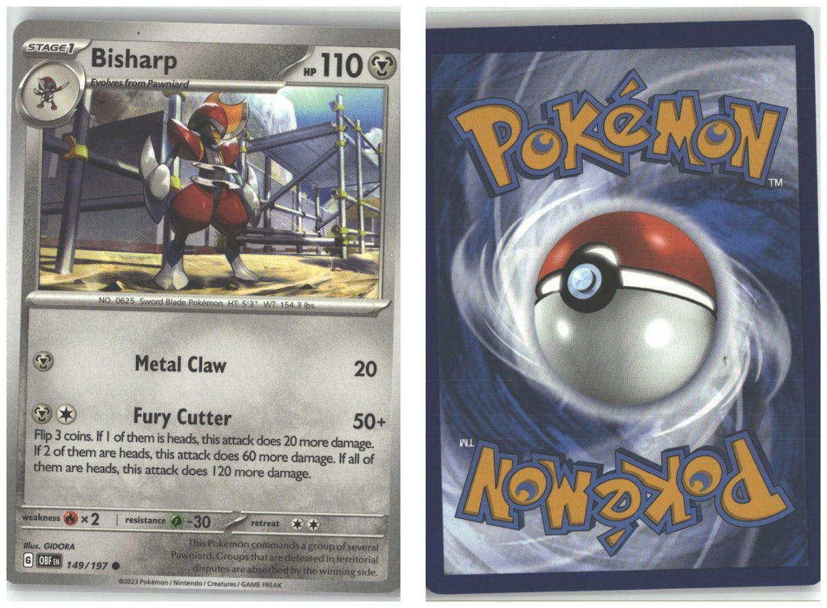Front + Back scan