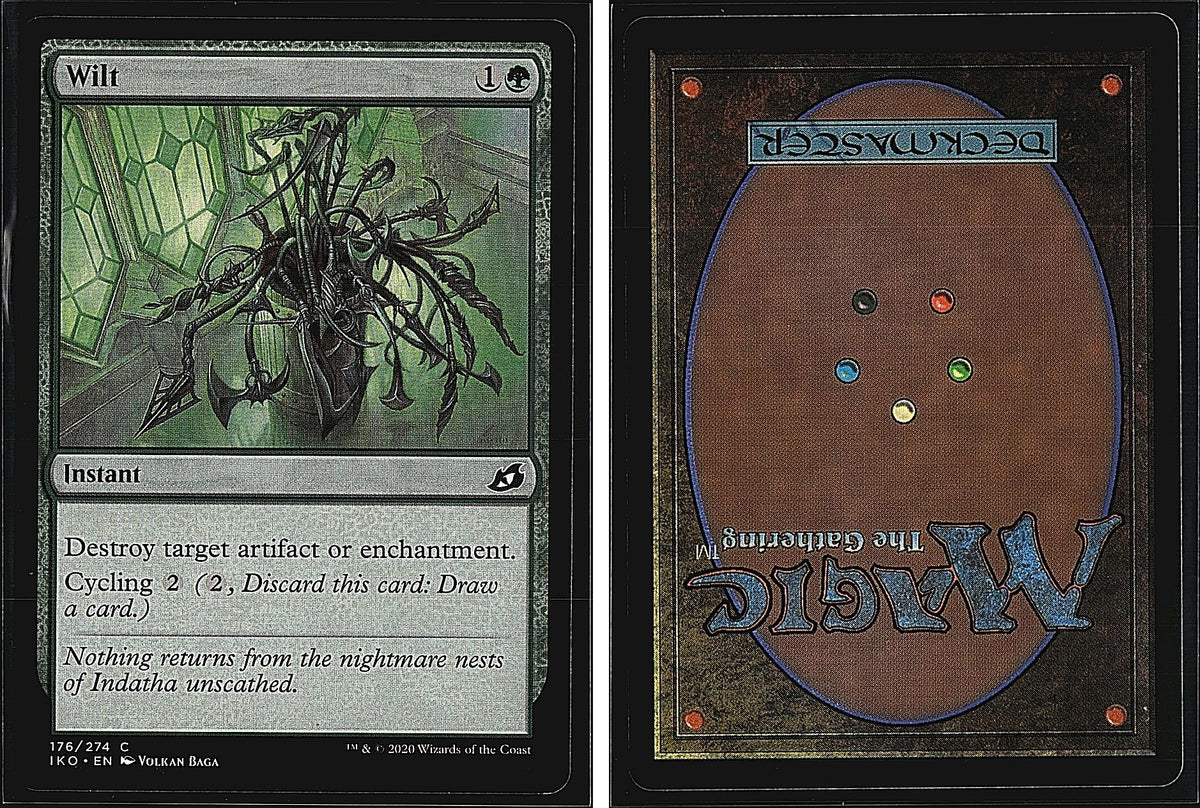 Front + Back scan