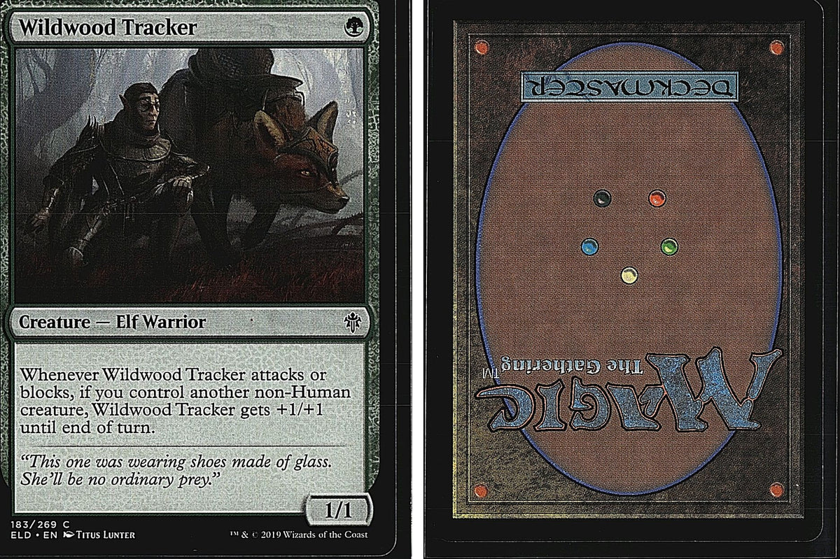 Front + Back scan