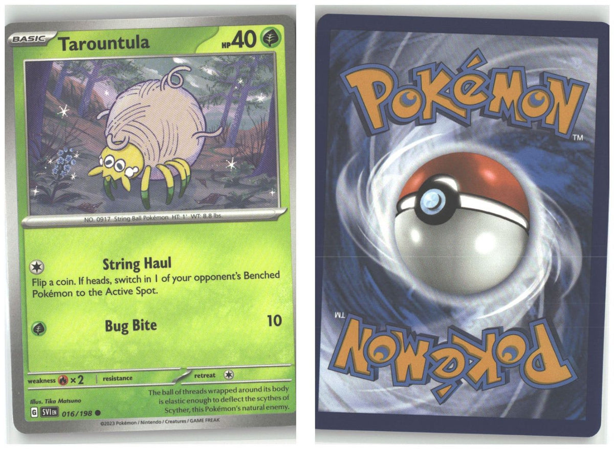 Front + Back scan