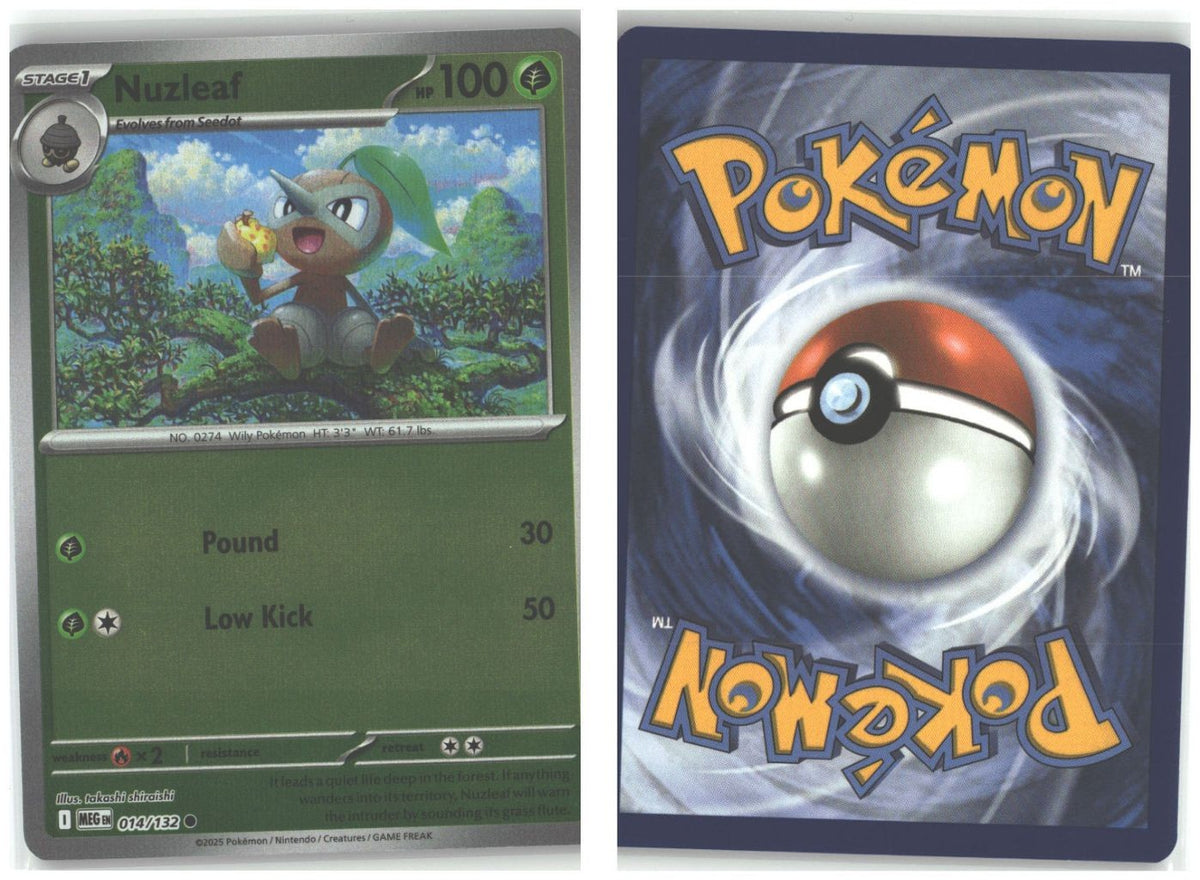 Front + Back scan