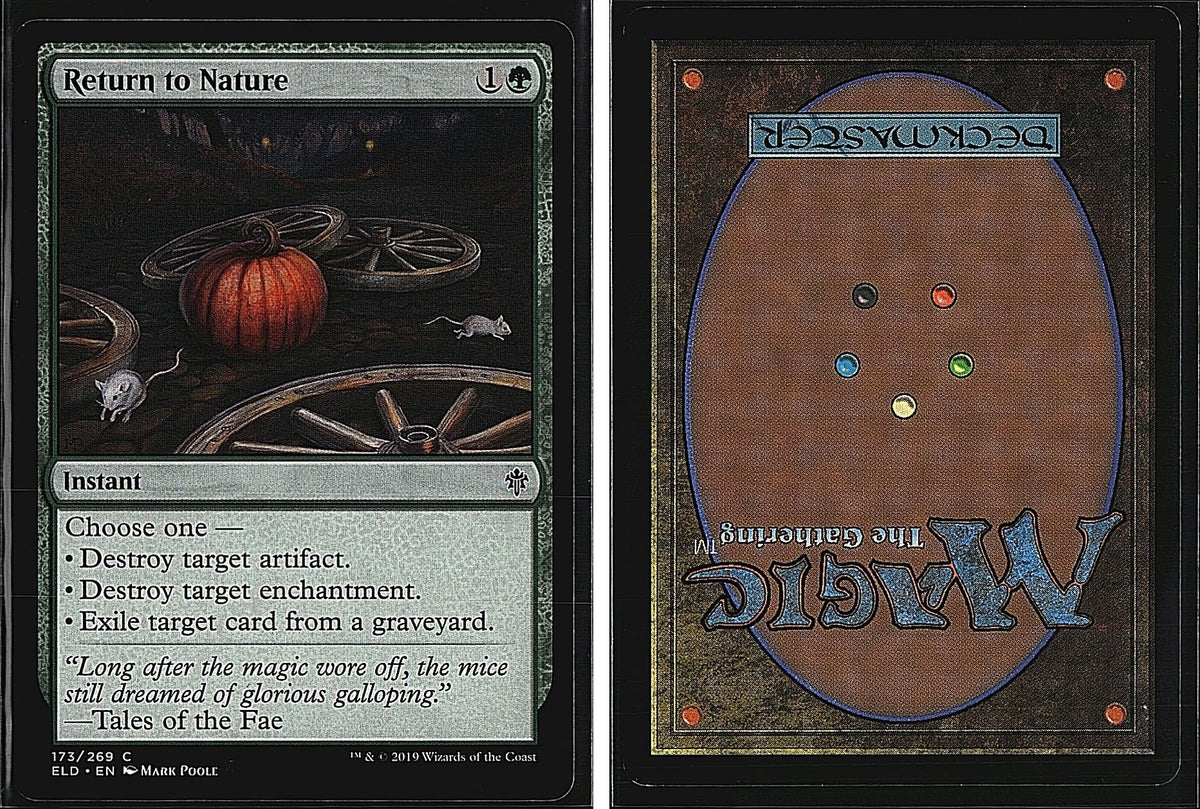 Front + Back scan
