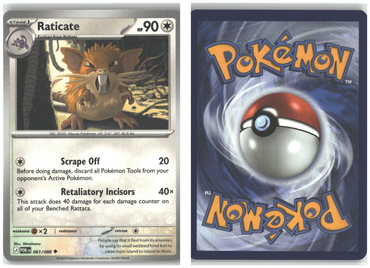 Front + Back scan