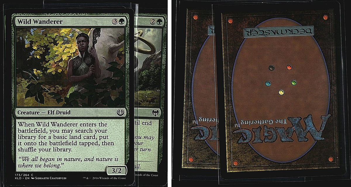 Front + Back scan
