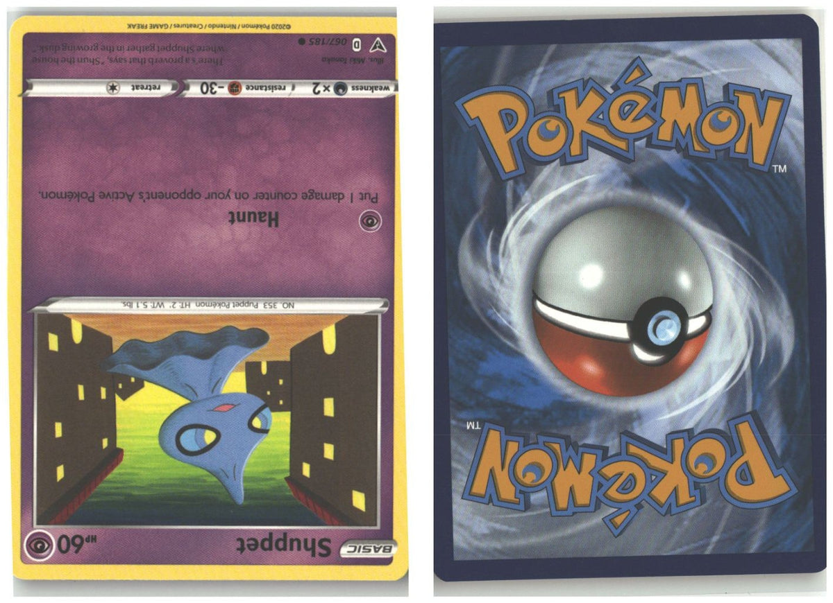 Front + Back scan