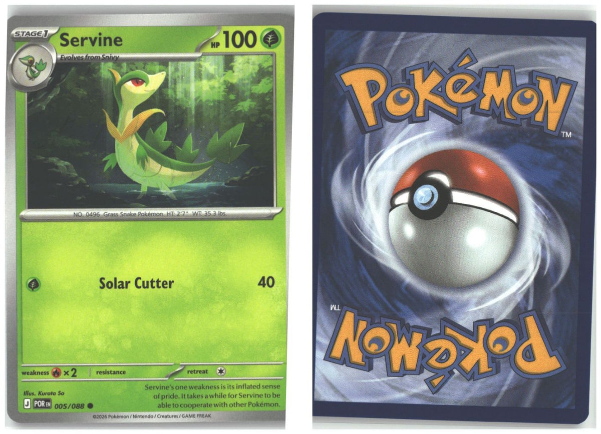 Front + Back scan