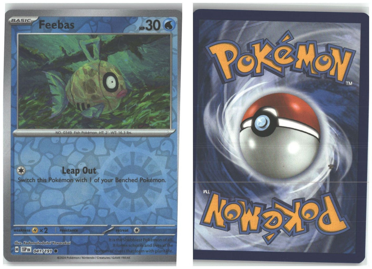 Front + Back scan