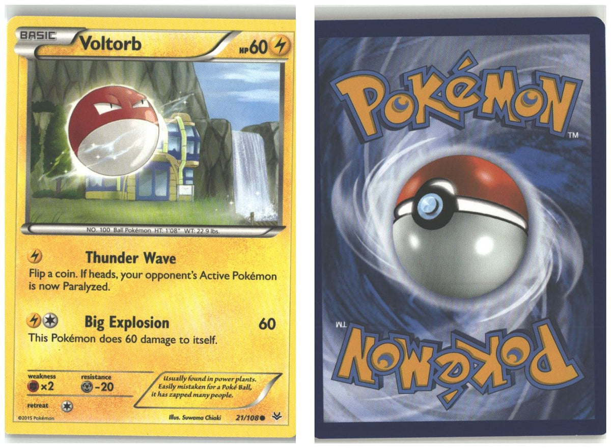 Front + Back scan