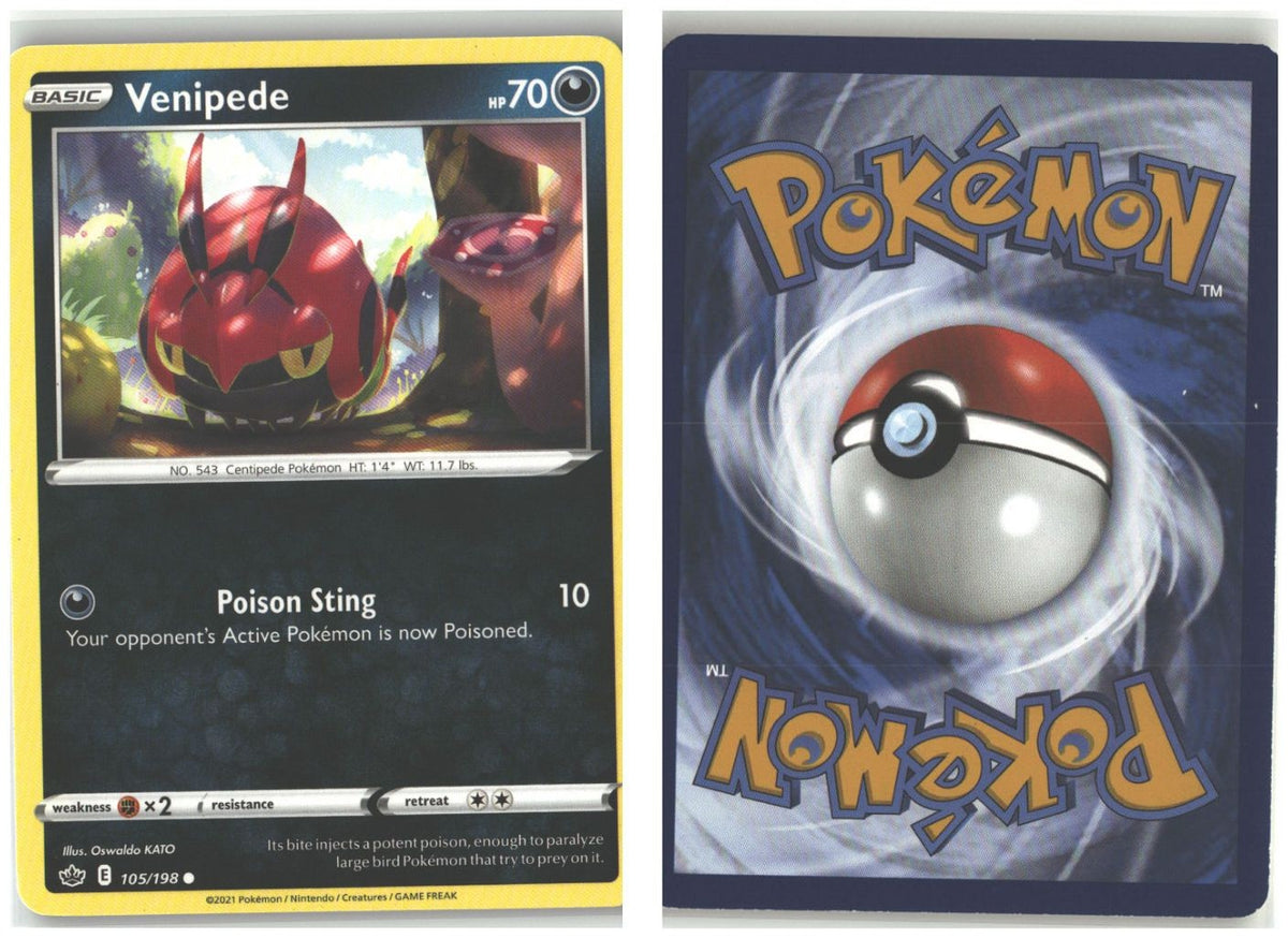 Front + Back scan