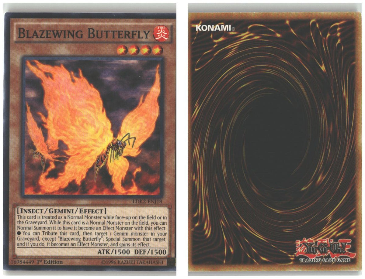 Front + Back scan