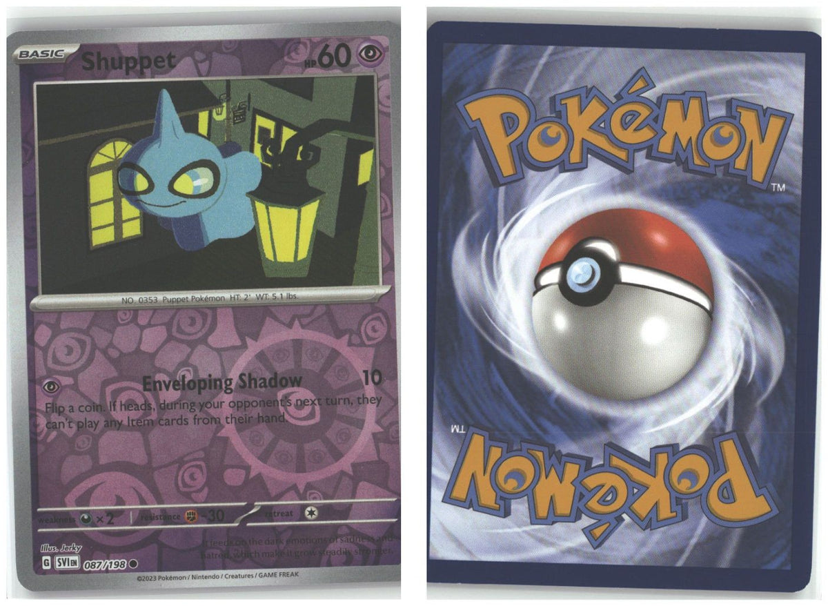 Front + Back scan