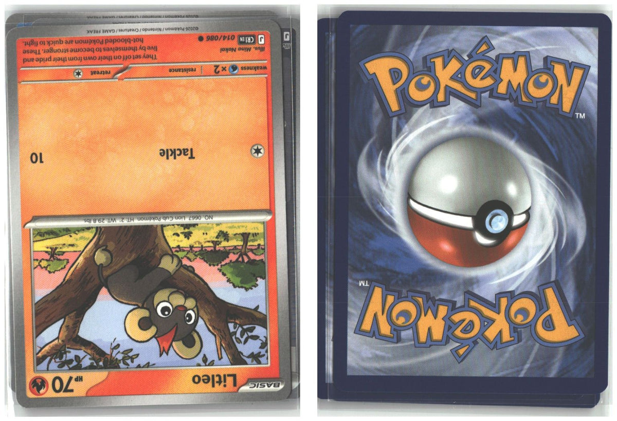 Front + Back scan