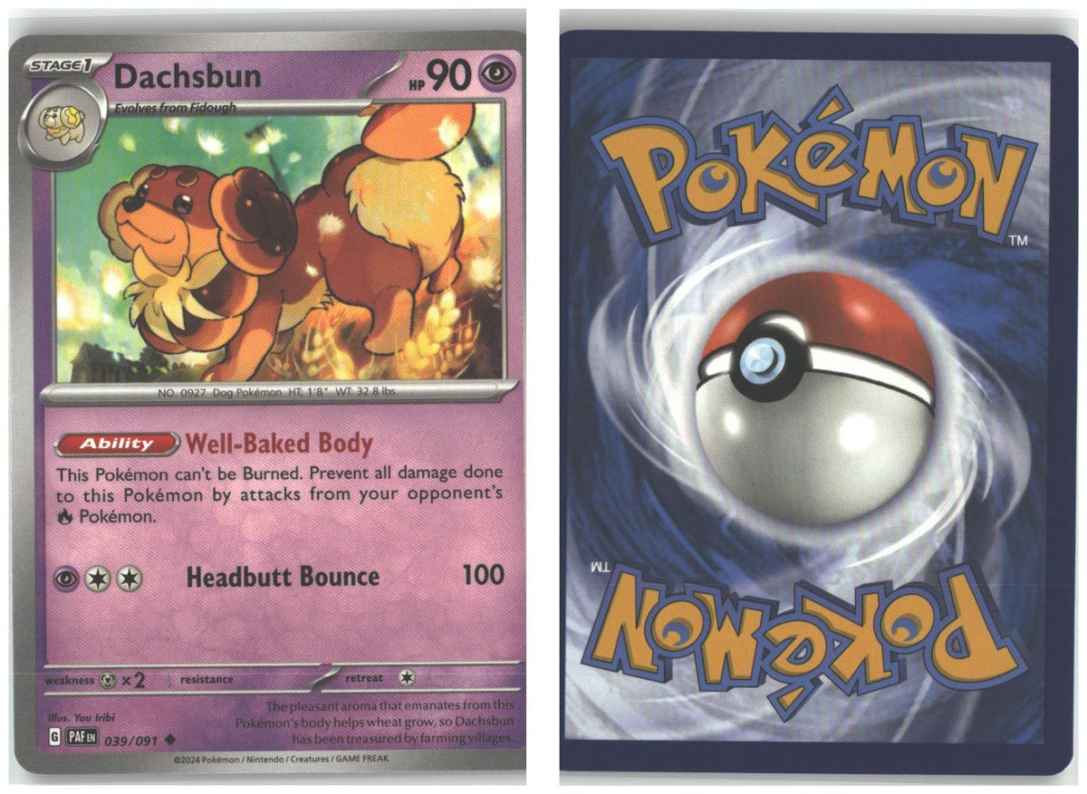 Front + Back scan