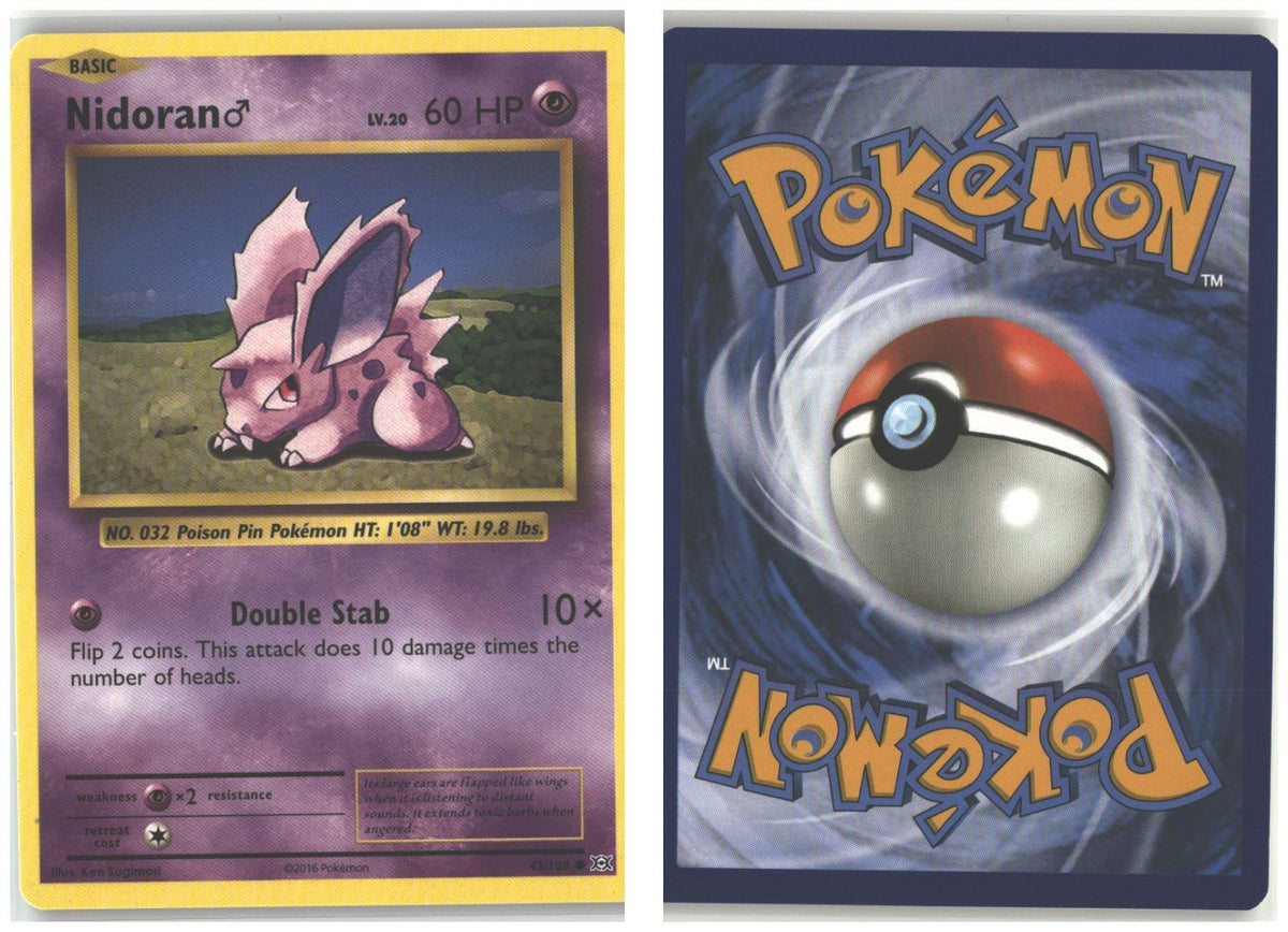 Front + Back scan