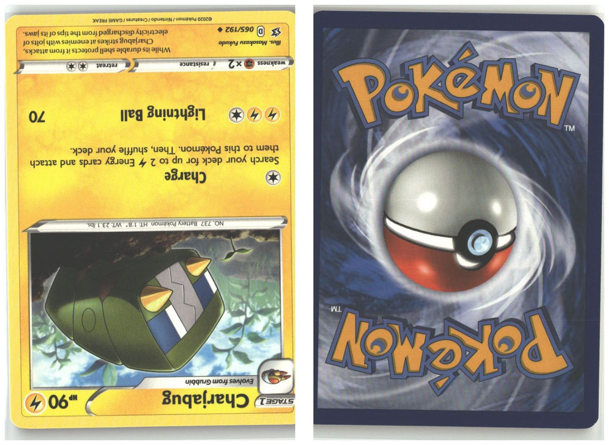 Front + Back scan