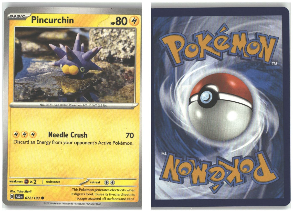 Front + Back scan