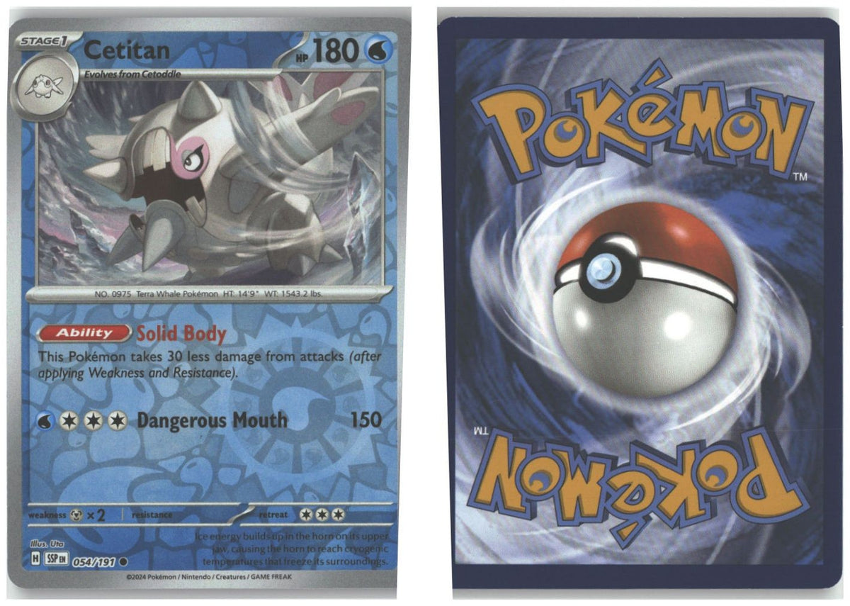 Front + Back scan