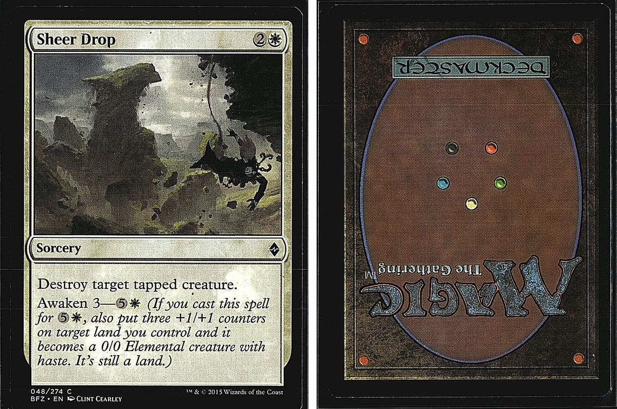 Front + Back scan